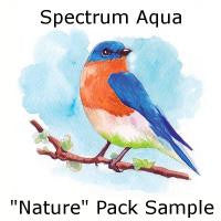 Aqua by Spectrum Noir Nature / Marcadores de Artista Acuarelables Marcadores &amp; Plumones Crafter&