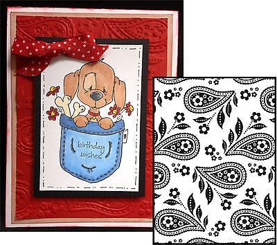 Embossing Paisley Background  / Folder de Grabado Bacterias y Flores Folders de Grabado Darice