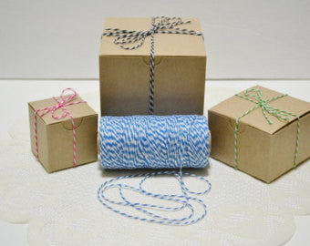 Twine Ocean / Hilo Azul Océano Descontinuado American Crafts