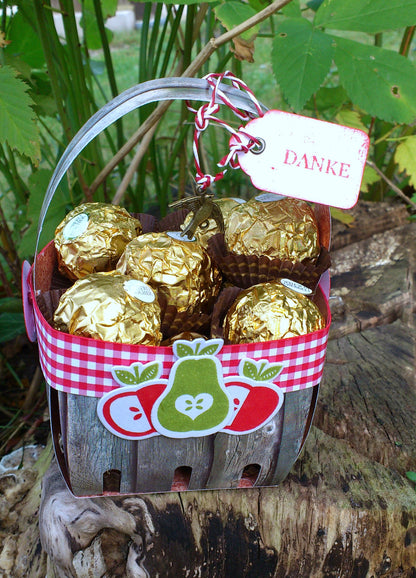 Suaje de Corte de Caja de Cesta / Berry Container Descontinuado LifeStyle Crafts