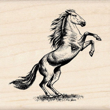 Sellos de Polímero de Caballos / Horses 99540 Descontinuado Inkadinkado