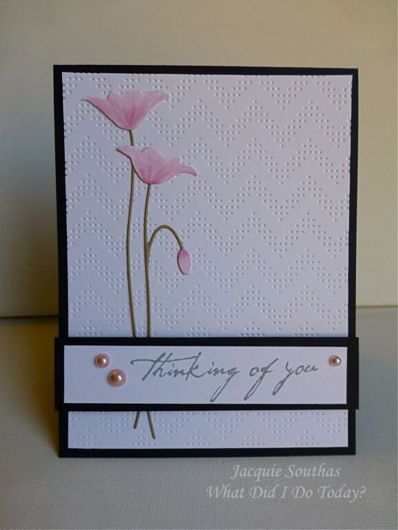 Folder de Grabado / Embossing Folder Charles Descontinuado Cuttlebug