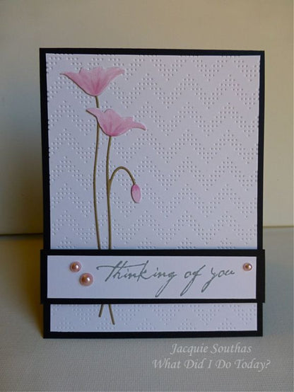 Folder de Grabado / Embossing Folder Charles Descontinuado Cuttlebug