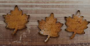 Adirondack Color Wash Butterscotch / Tinta en Spray color Caramelo Descontinuado Ranger