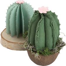 2D &amp; 3D Succulents Dies / Suaje de Suculentas Descontinuado Sizzix
