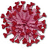 Suaje de Flor de Corazones / Small Heart Cutie Fringe Die Descontinuado Cheery Lynn Designs