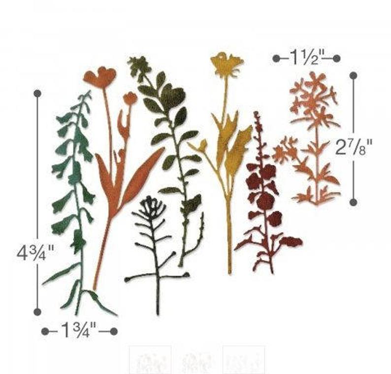 Thinlits Wildflowers Die / Suaje de Flores Silvestres Descontinuado Sizzix