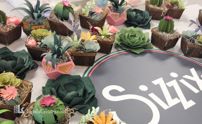 2D &amp; 3D Succulents Dies / Suaje de Suculentas Descontinuado Sizzix