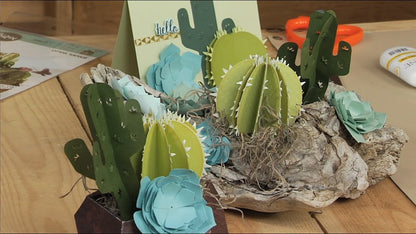 2D &amp; 3D Succulents Dies / Suaje de Suculentas Descontinuado Sizzix
