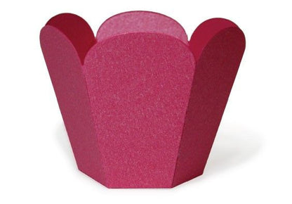 Suaje de Corte de Contenedor de Dulces / Petal Container Descontinuado LifeStyle Crafts
