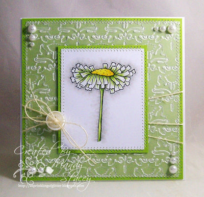 Embossalicious Regency Damask 8" x 8" / Folder de Grabado Grande Damasco Descontinuado Crafter&