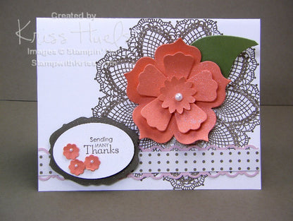 Suaje de Caja de Tarjetas  / Cards Descontinuado Little B